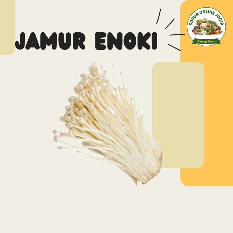 

Jamur Enoki - PAWON MAMI SAYUR ONLINE JOGJA