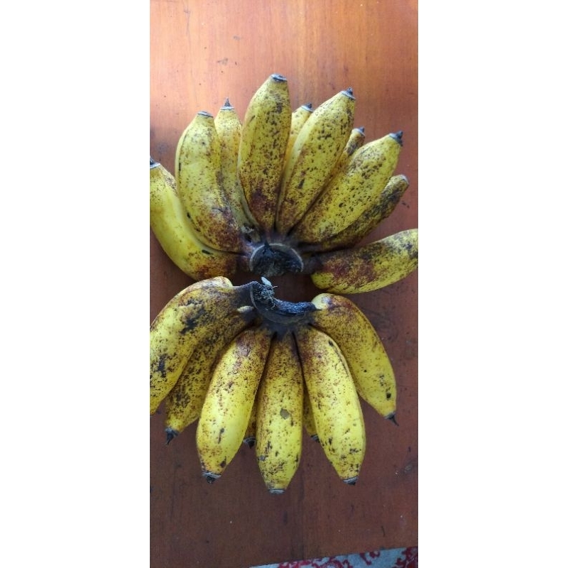 

Buah Pisang Susu