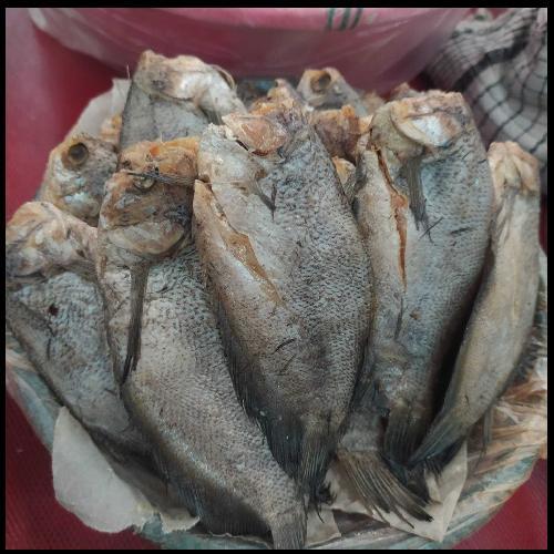

1 KG Ikan Asin Sepat/ Ikan Asin Murah/ Ikan Asin Enak/ Ikan Asin Palembang