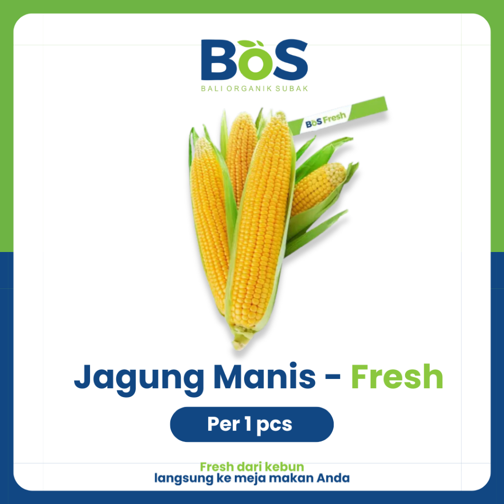

Jagung Manis 1 Buah - Bos Fresh