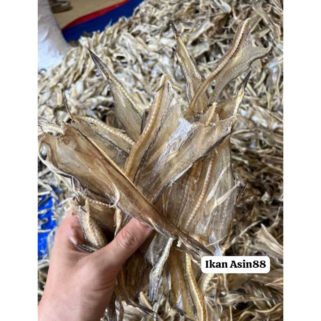 

Ikan asin tipis jambrong , tipis tarakan , lomek 50gr perbungkus