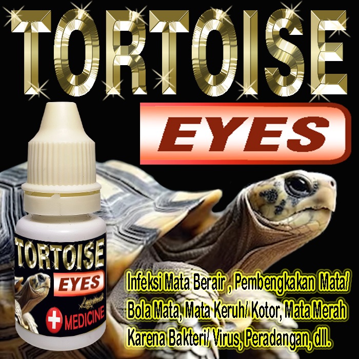 TORTOISE EYES OBAT TETES MATA REPTILE KURA-KURA DARAT SULCATA OBAT MATA REPTILE BENGKAK MERAH INFKES