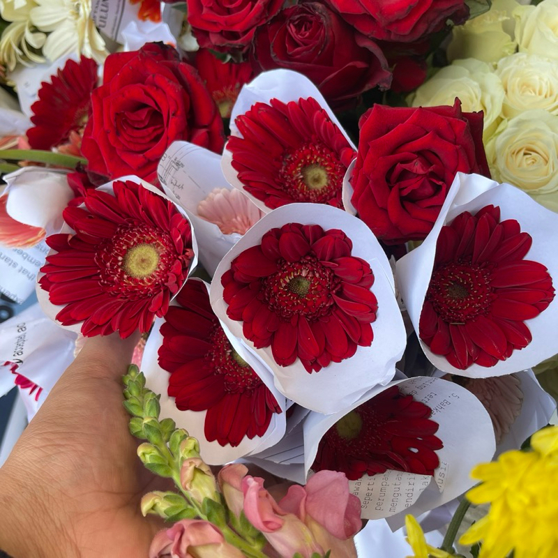 bunga potong garbera segar isi 5 dekorasi wedding bouquets bunga potong segar bandung