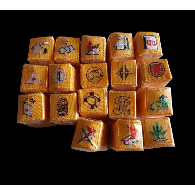 TKK Saka Bhayangkara (bordir)