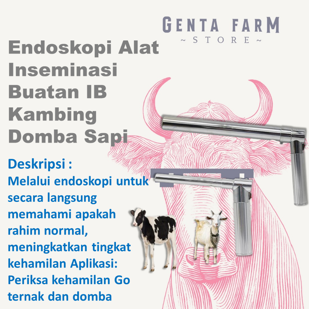 Endoskopi Alat Inseminasi Buatan IB Kambing Domba Sapi