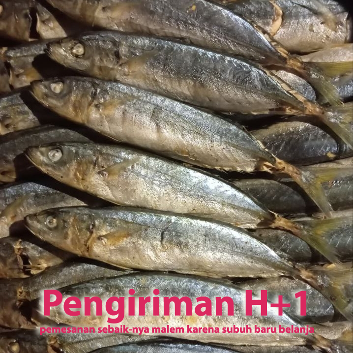 

ikan layang cue per ekor
