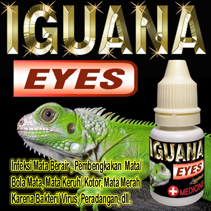 IGUANA EYES OBAT TETES MATA REPTILE BERAIR MERAH KERUH KOTOR MATA TERTUTUP KATARAK BENGKAK INFKESI P