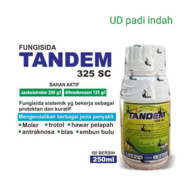 Tandem 250ml - Fungisida