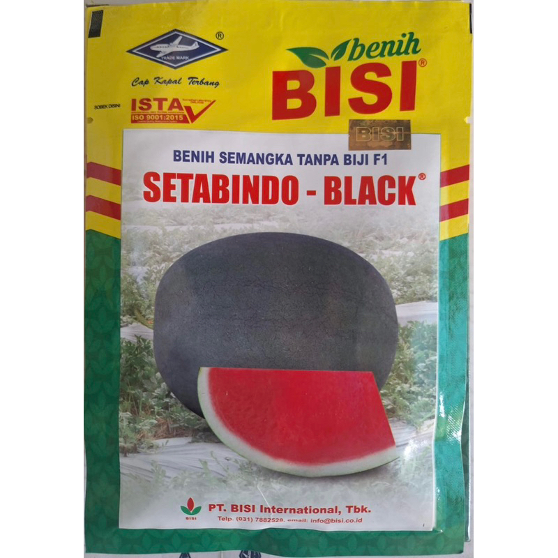 BENIH SEMANGKA TANPA BIJI SETABINDO-BLACK