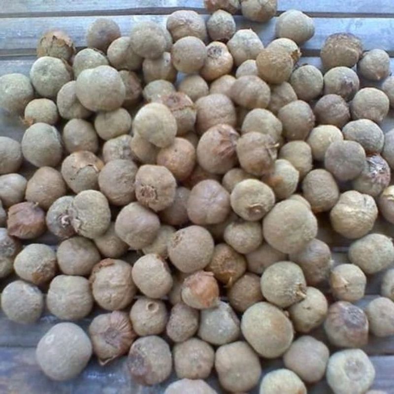 biji/benih pohon jati siap tanam 50biji