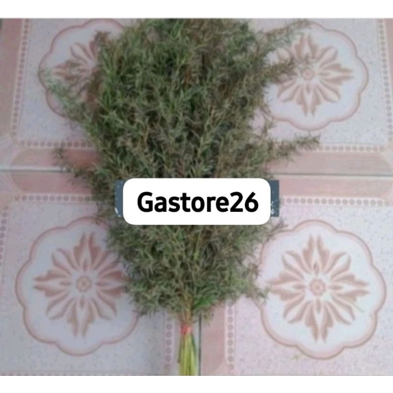 

Bunga sereh wangi sereh merah per 15 tangkai