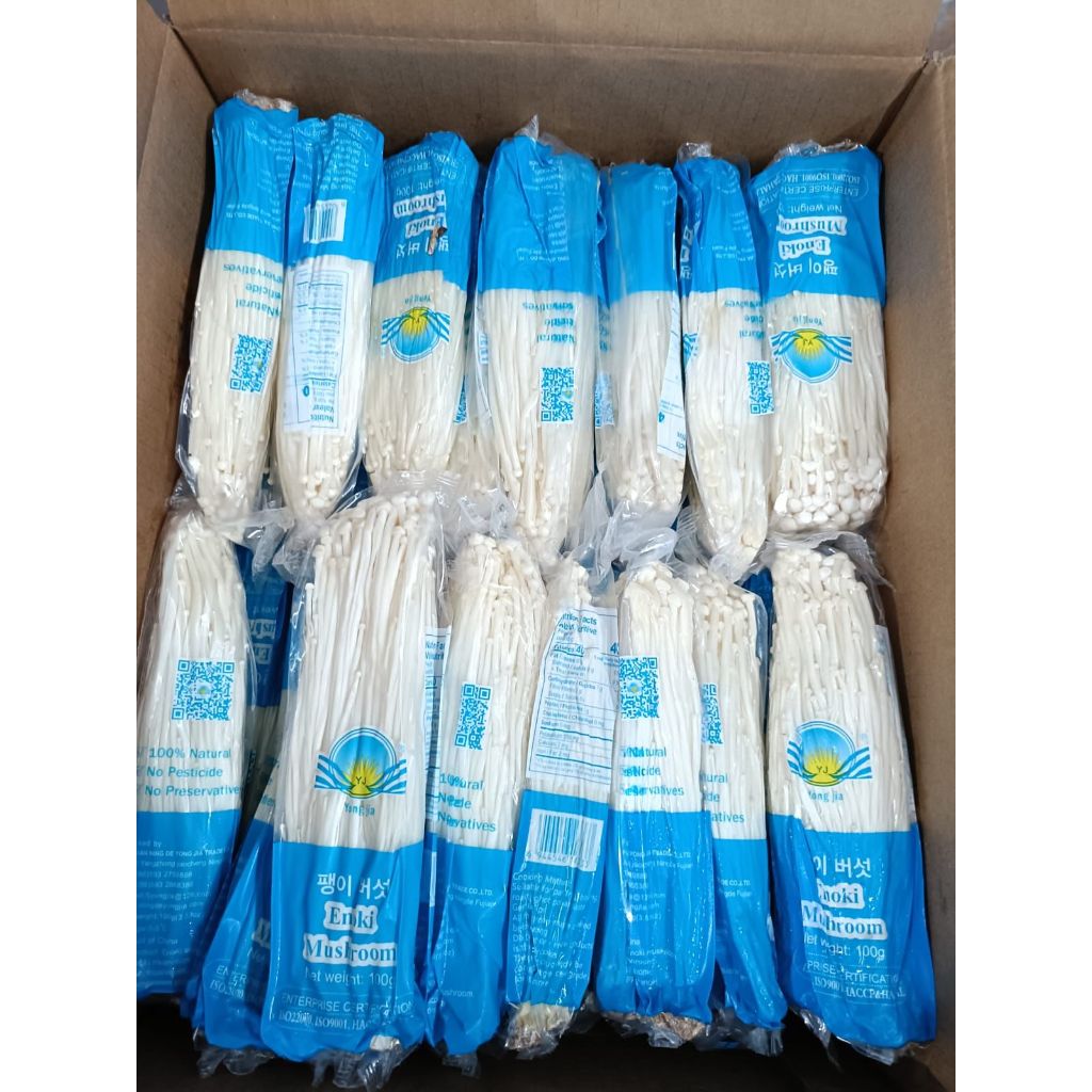 

jamur enoki murah