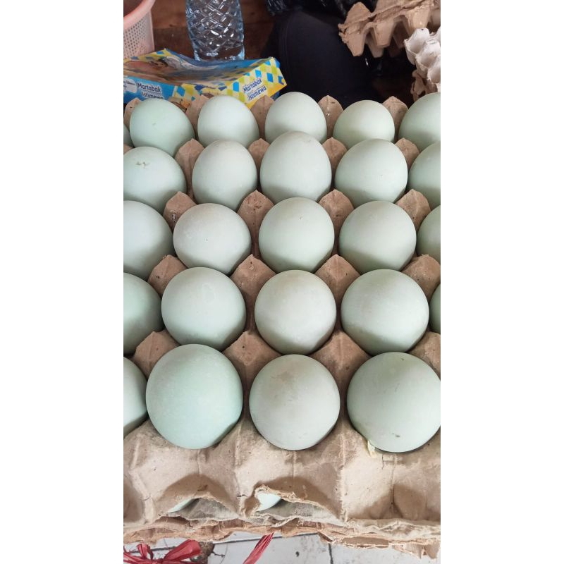 

TELOR ASIN MATANG PER 10 BUTIR