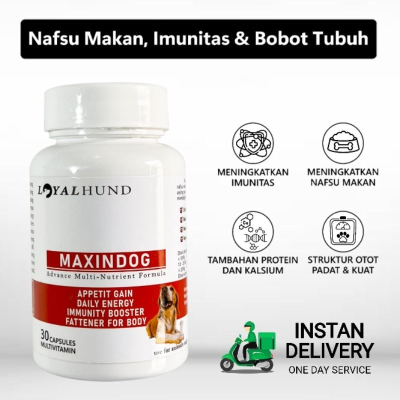 LOYALHUND VITAMIN NAFSU MAKAN ANJING M01 30 KAPSUL | MULTIVITAMIN IMUNITAS & NAFSU MAKAN ANJING