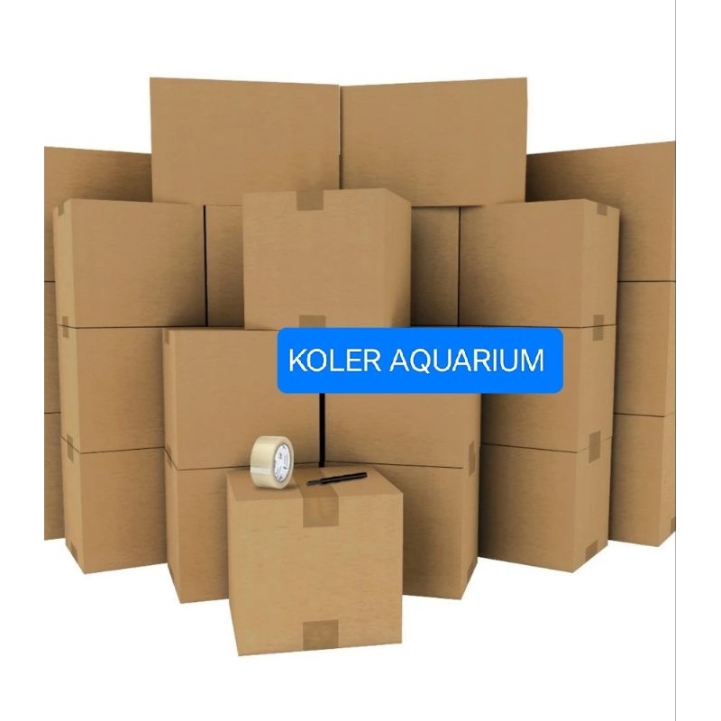 

Peking bubble web + kardus