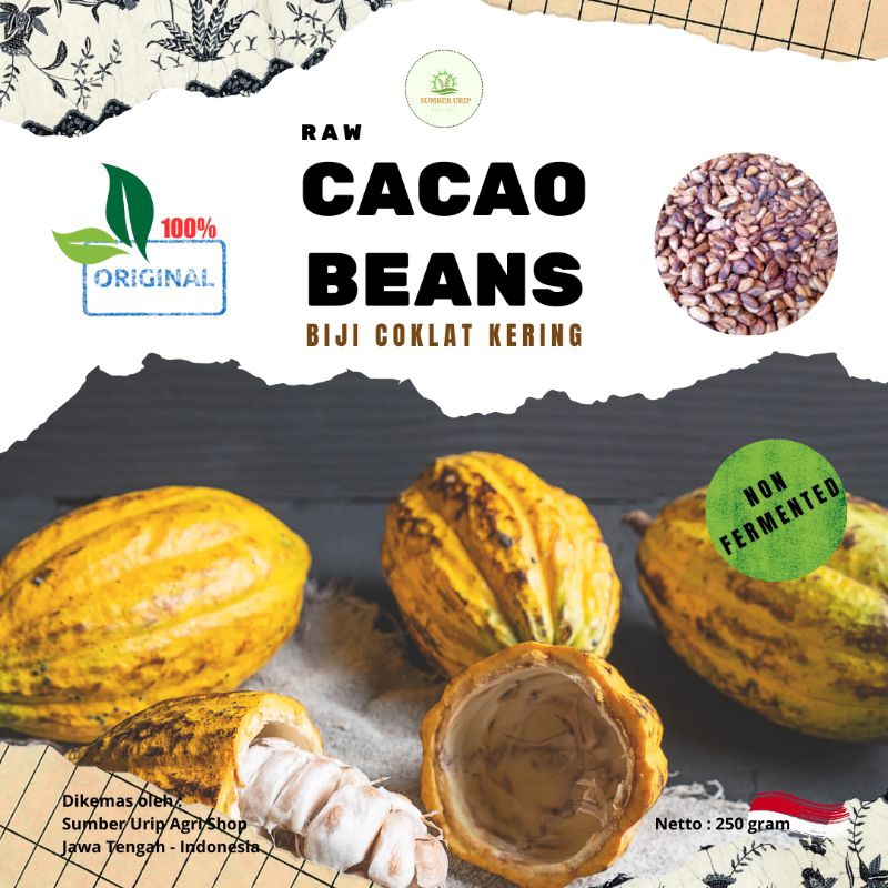 

Cokelat Biji Kakao Coklat Kering Raw Cacao Beans Cocoa Bean