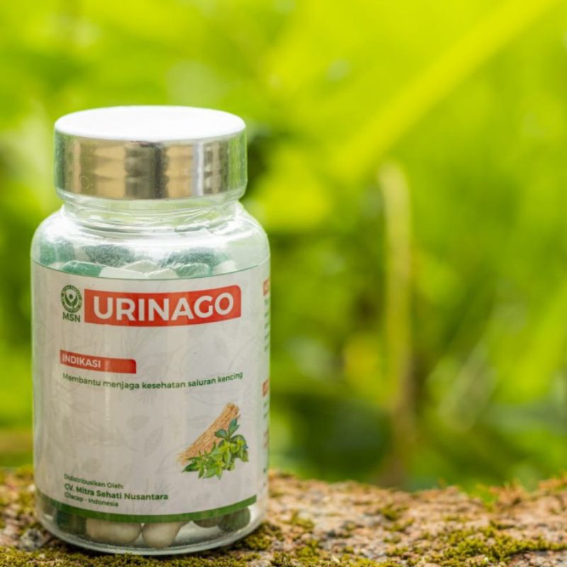 Gigikbunga Urinago Obat Sipilis Gonore Kencing Nanah Bpom