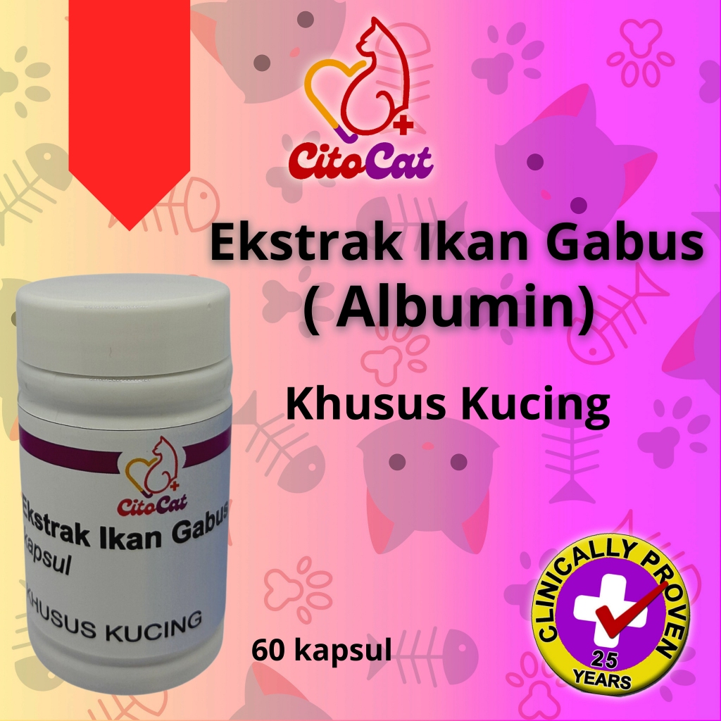 Ekstrak ikan gabus kucing CitoCat