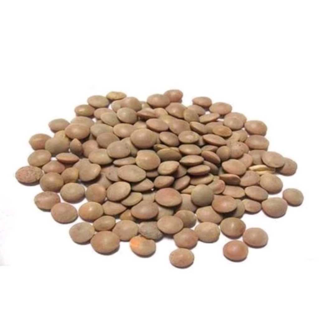 

Kacang Lentil Coklat -Brown Whole lentils Dal masoor 500 gram