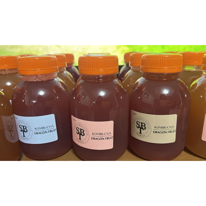 

KOMBUCHA DRAGON FRUIT-250ml