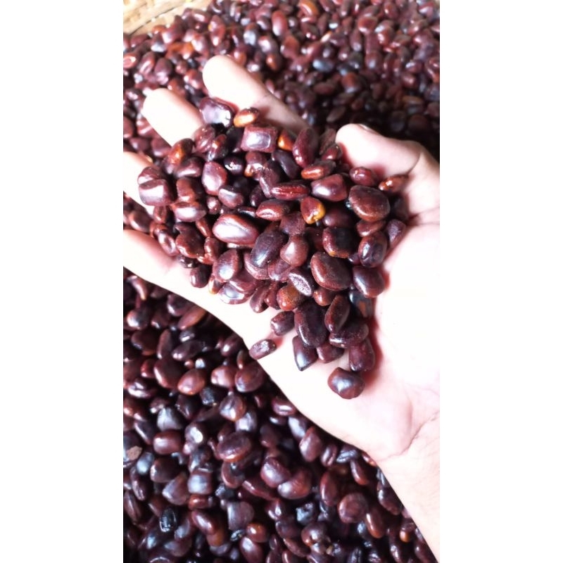 

biji asam jawa kemasan 1kilo