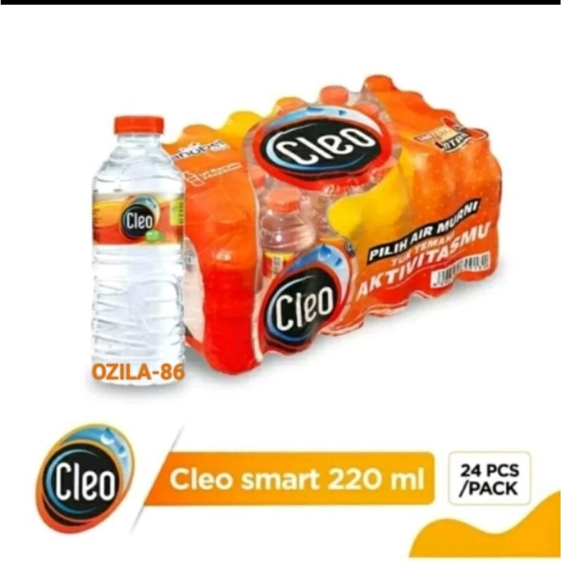 

Cleo Mini Air Minum Mineral Water 220ml x 24 botol Mini 1 Krat