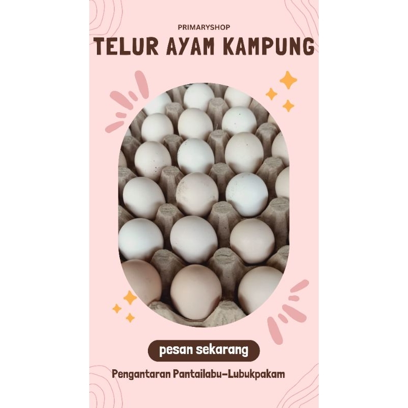 

TELUR AYAM KAMPUNG ASLI FRESSH SETIAP HARI