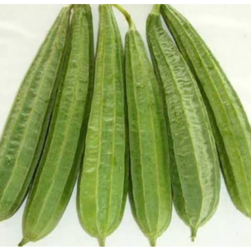 

oyong 500 gram