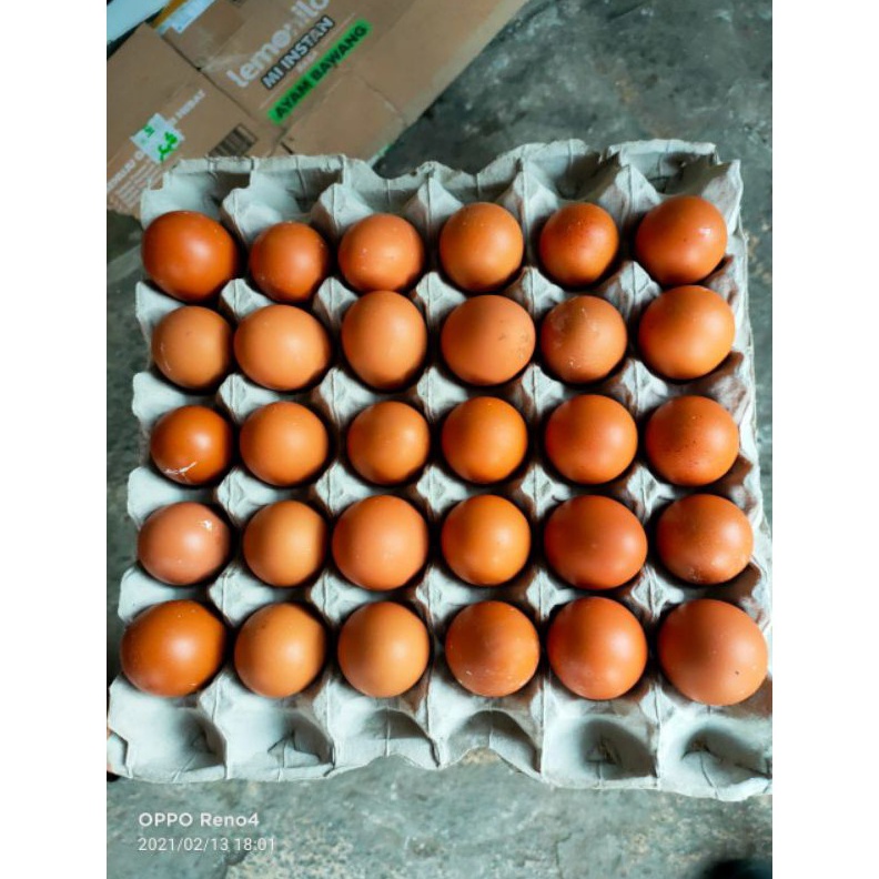 

Termurah Telur Ayam Negri PerKg telor