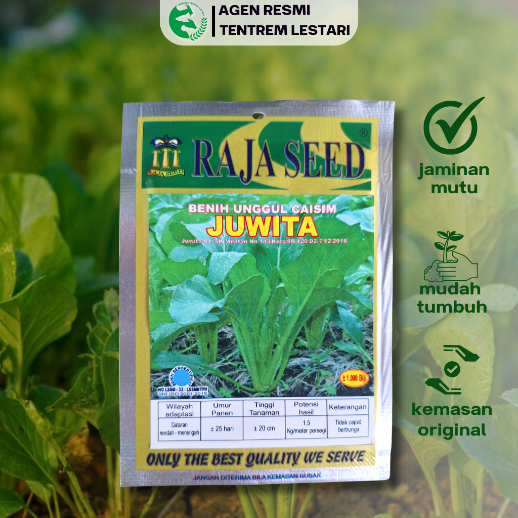 Benih Sawi Caisim JUWITA 1000 Biji Cap RAJA SEED Lebat & Lambat Berbunga