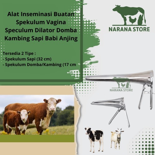 Alat Inseminasi Buatan Spekulum Vagina Dilator Domba Babi Sapi Kambing