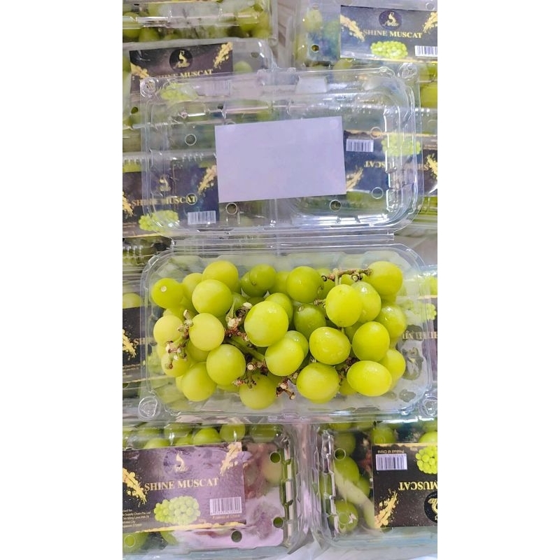 

ANGGUR HIJAU SHINE MUSCAT -+ 500GR