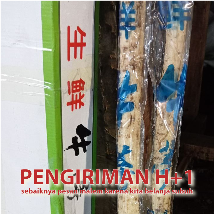 

akar gobo sayuran harga per batang chinese burdock ketela jepang