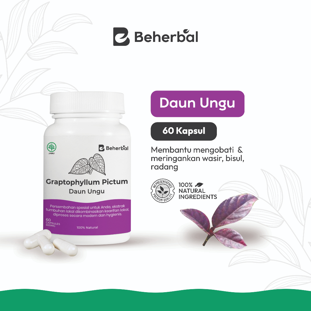 Kapsul Daun Ungu Obat Wasir Obat Ambiein Obat Wasir Daun Ungu Obat Wasir Ambeven Obat Wasir Daun Ung