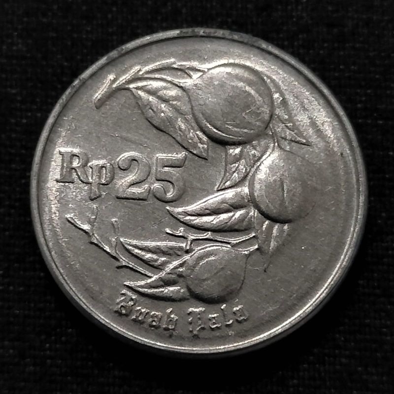Uang Kuno Koin 25 Rupiah 1991