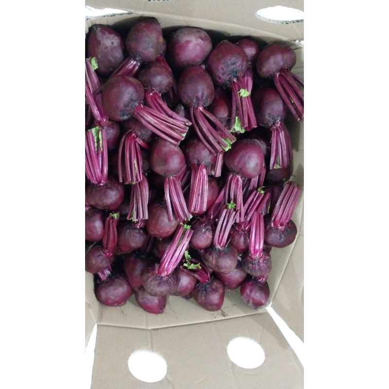 

buah bit murah fresh 1kg