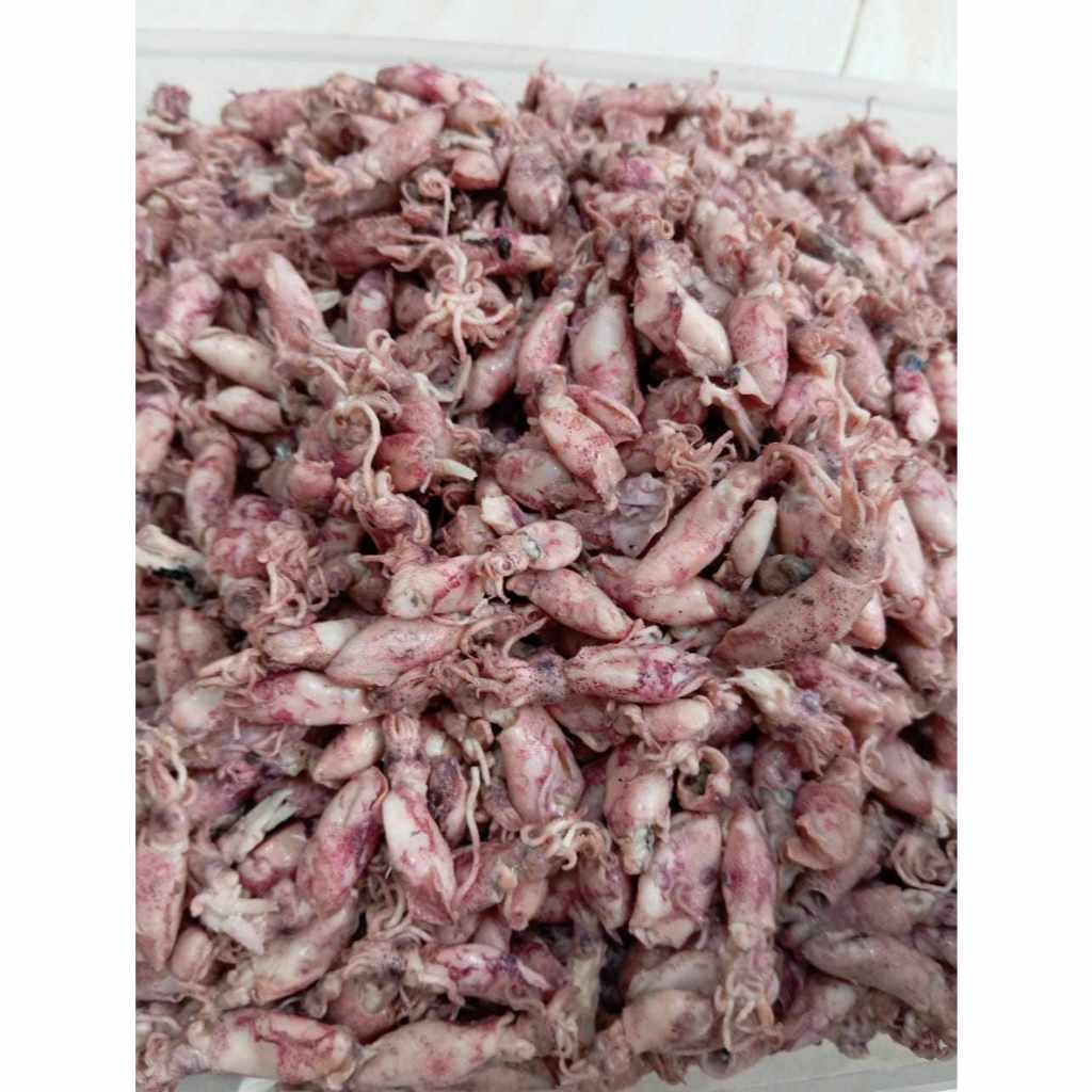 

Baby Cumi Kemasan 500gr | Lauk Seafood Murah
