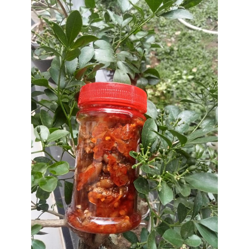 

sambal baby Cumi pedas