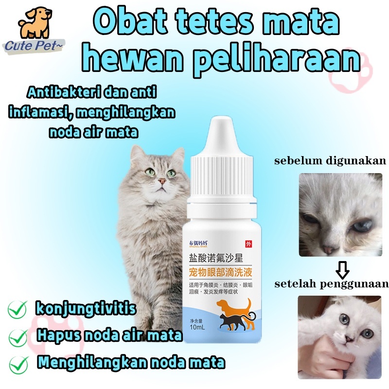 Obat tetes mata kucing anjing Obat tetes mata untuk kucing, anti infeksi anak kucing, iritasi mata