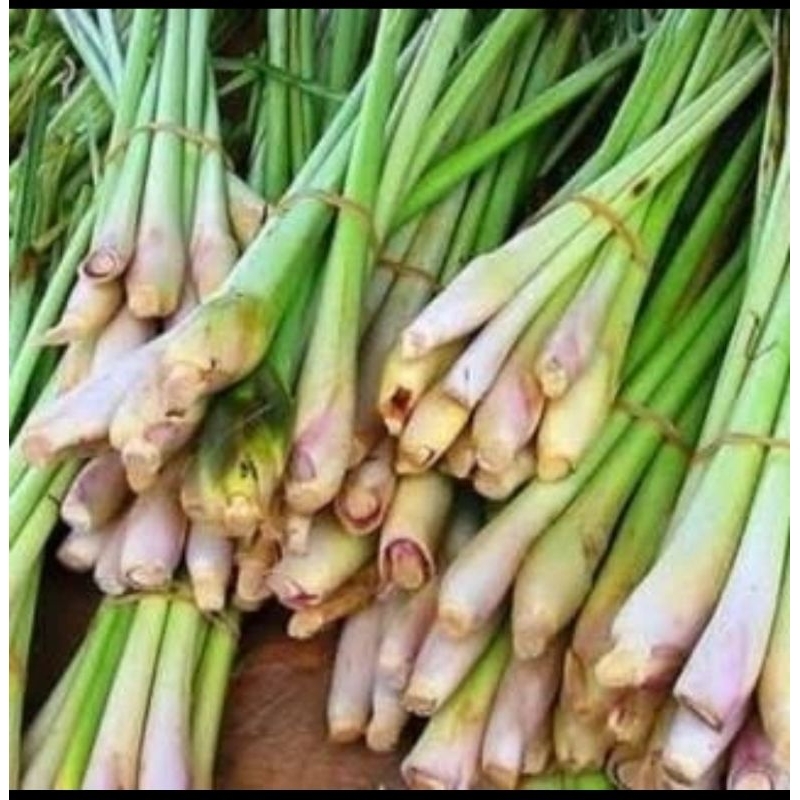 

Sereh 250gr Sayur Segar Cirebon Kuningan Indramayu