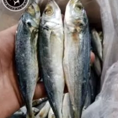 

ikan asin pedas layang fres 250g