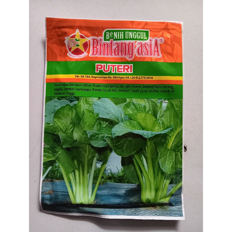 

Benih-Bibit Sawi Manis Putri (Bintang Asia)
