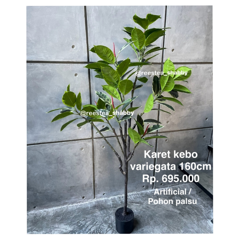 Pohon Hias Karet Kebo Variegata Tinggi 160cm / Pohon Hias Palsu / Artificial plant