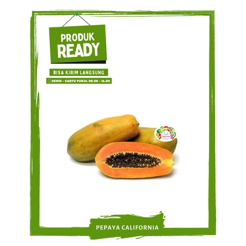 

Pepaya California Besar / Buah Buahan Segar Ready On Mallahrizwa