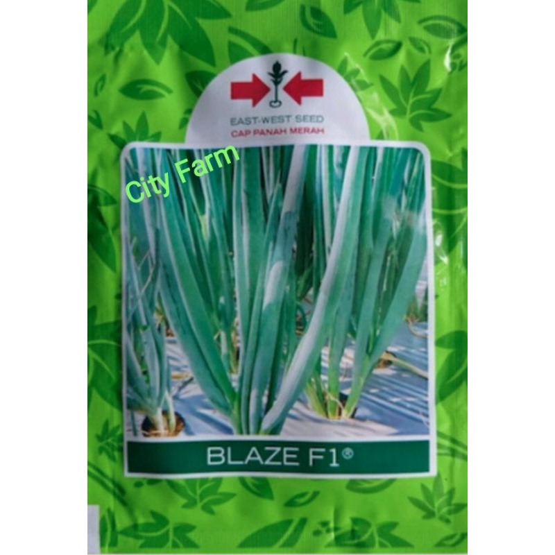 BENIH BAWANG DAUN BLAZE SP (800 BTR) PANAH MERAH