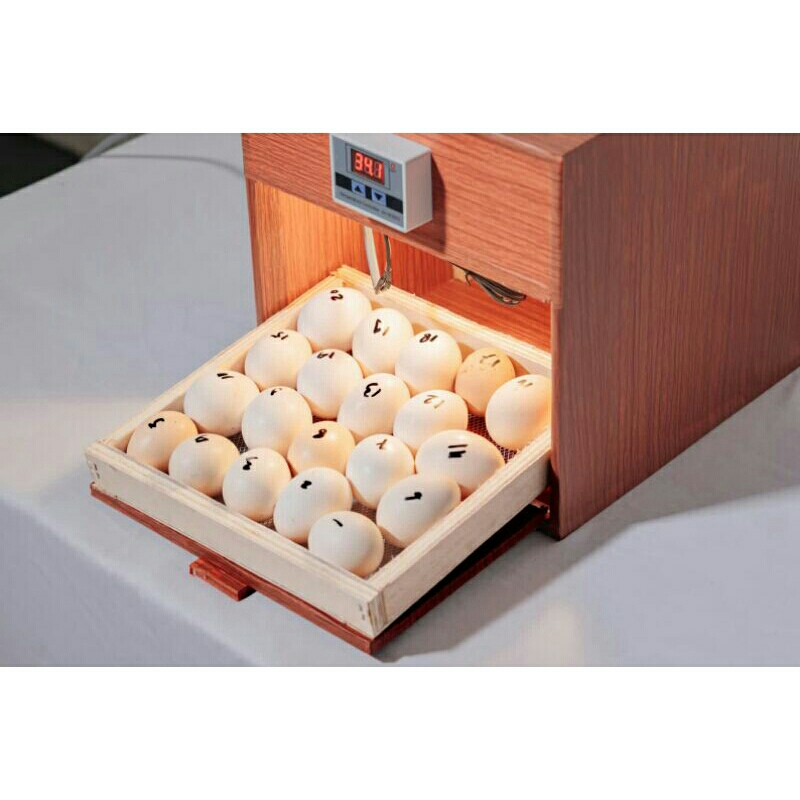 mesin penetas telur semi otomatis digital kap 20 mesin tetas inkubator telur