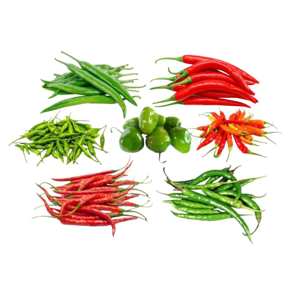 

Cabe 100gr | 200gr Rawit Tanjung Keriting Cengek Merah Hijau