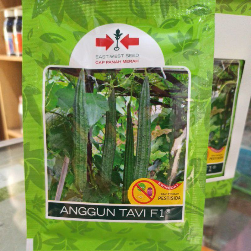 Benih Oyong Anggun Tavi F1