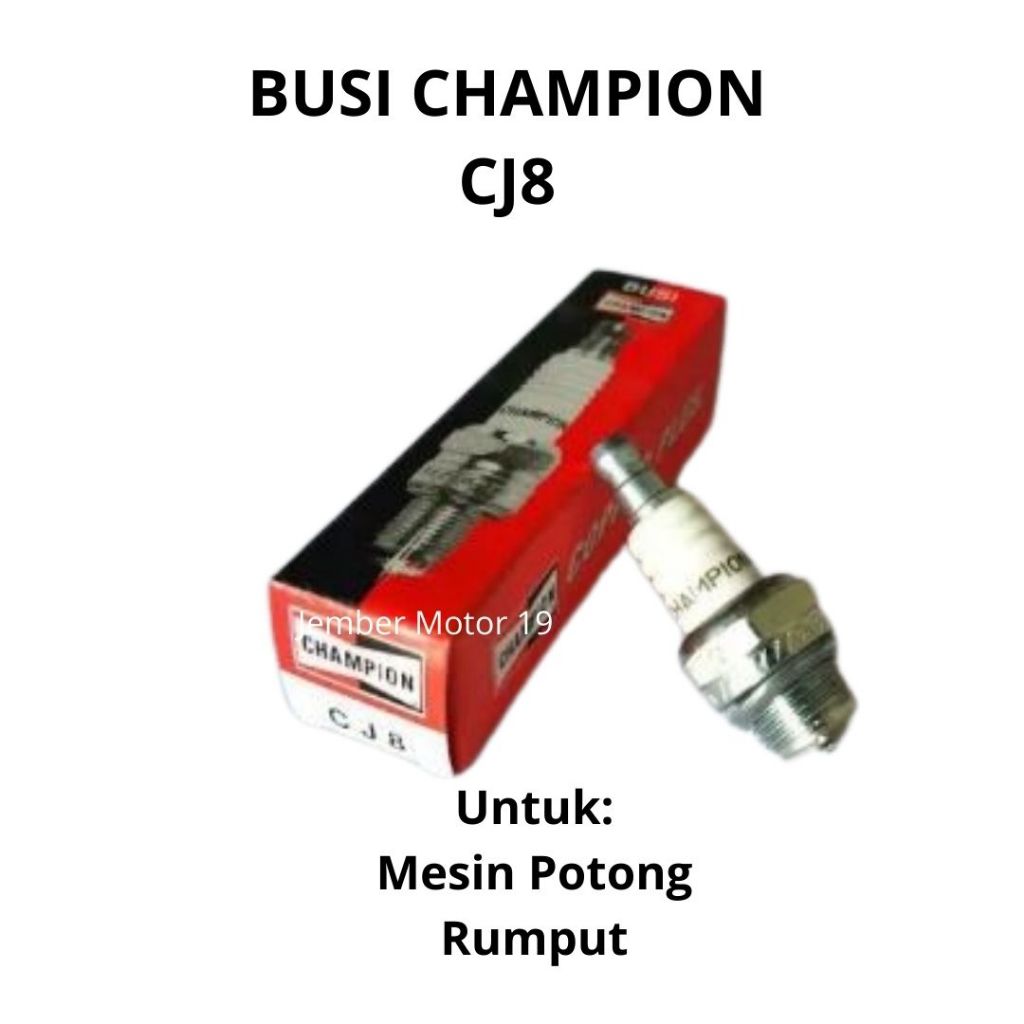 BUSI MESIN POTONG RUMPUT CHAMPION CJ8/ BUSI 2 TAK (ORIGINAL)