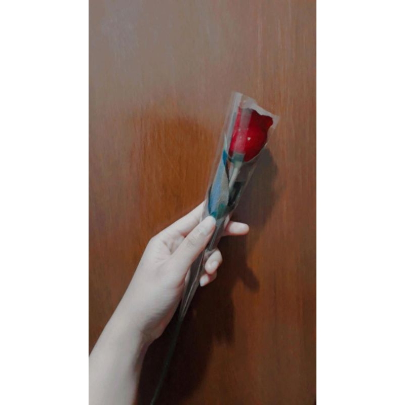 Bunga mawar merah 1 tangkai bungkus mika bening + pita